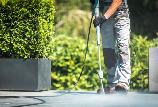Best Pre-Holiday Cleaning  in Memphis, FL