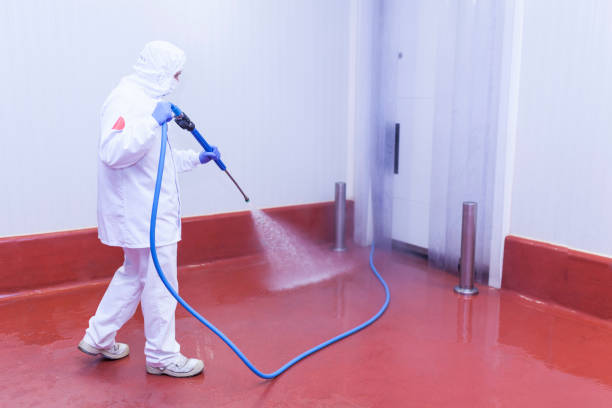 Best Spring Cleaning  in Memphis, FL